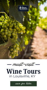 Green grapes on a vine at a vineyard.