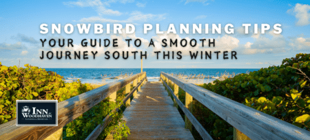 A wooden boardwalk in Florida that stretches out into a the beach and then blue water. There are green plants on each side of the boardwalk. The sky is bright blue and filled with white clouds.